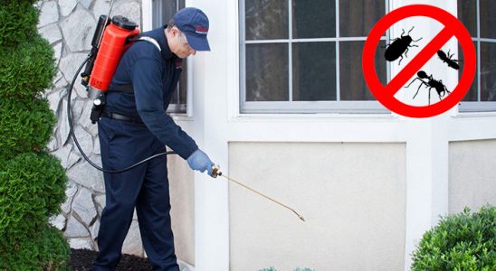 Ayancık Akrep İlaçlama böcek ilaçlama ve haşere kontrolü — ilaclama-tr.com